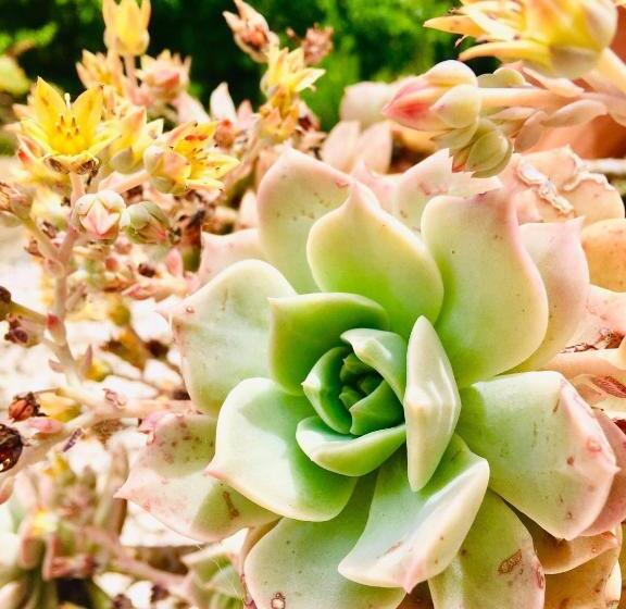 住宿加早餐  Quinta Quatro Ventos