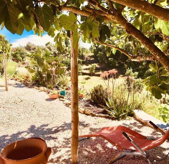 住宿加早餐  Quinta Quatro Ventos