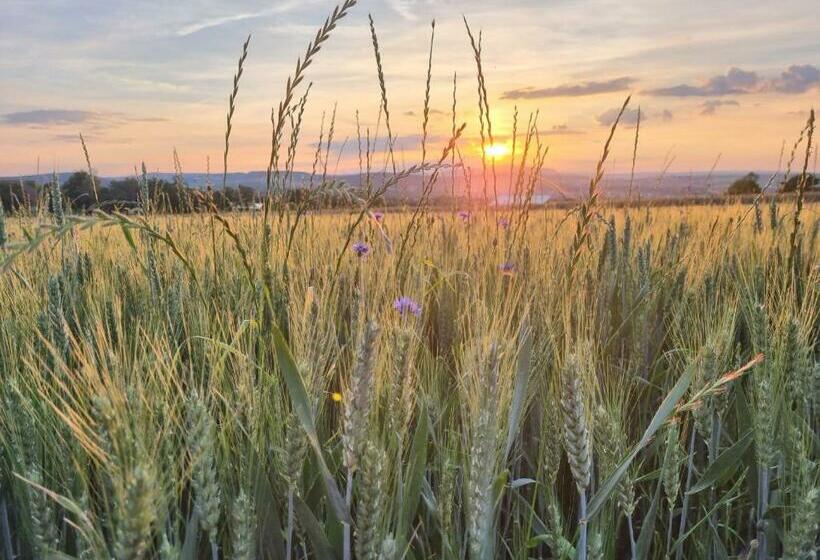 ユースホステル Landgasthaus Zum Engel