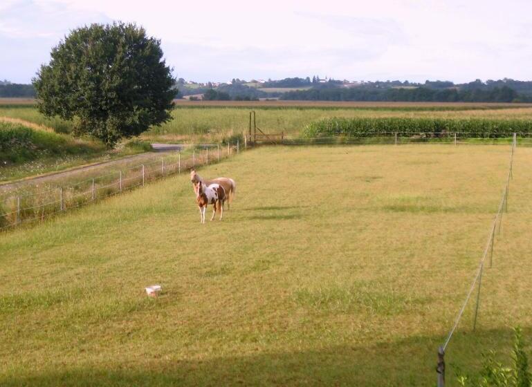 مبيت وإفطار Ranch Bignaou