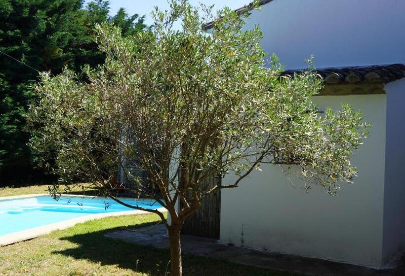 住宿加早餐  Studio Au Coeur De La Petite Camargue