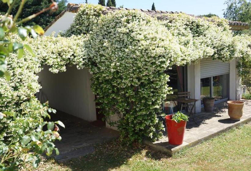 住宿加早餐  Studio Au Coeur De La Petite Camargue