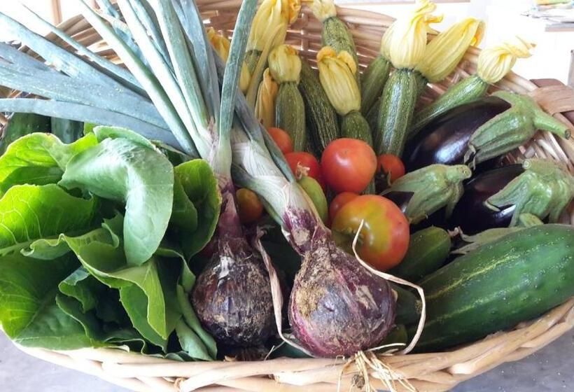 فندق Bioagriturismo Poderaccio