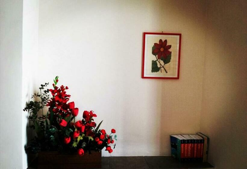 بنسيون La Quercia Di Aorivola