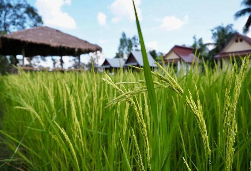 استراحتگاه Baan Thung Home Stay