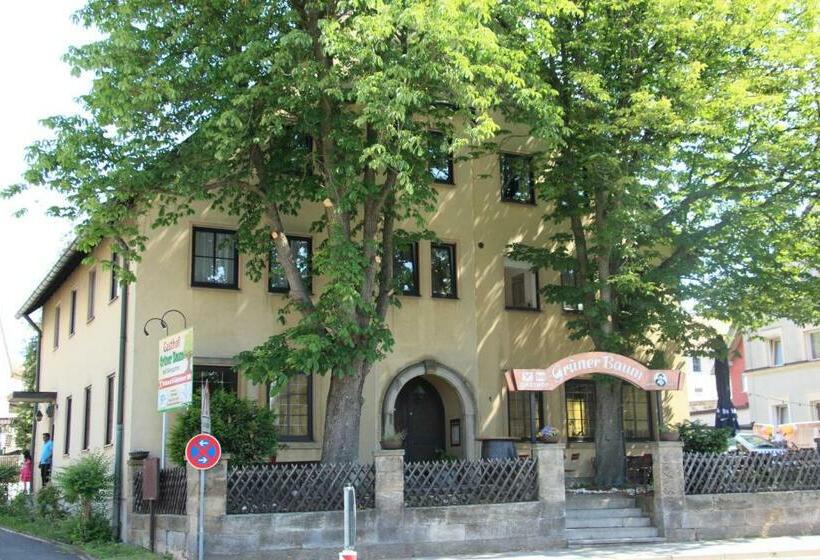 هاستل Gasthof Gruner Baum