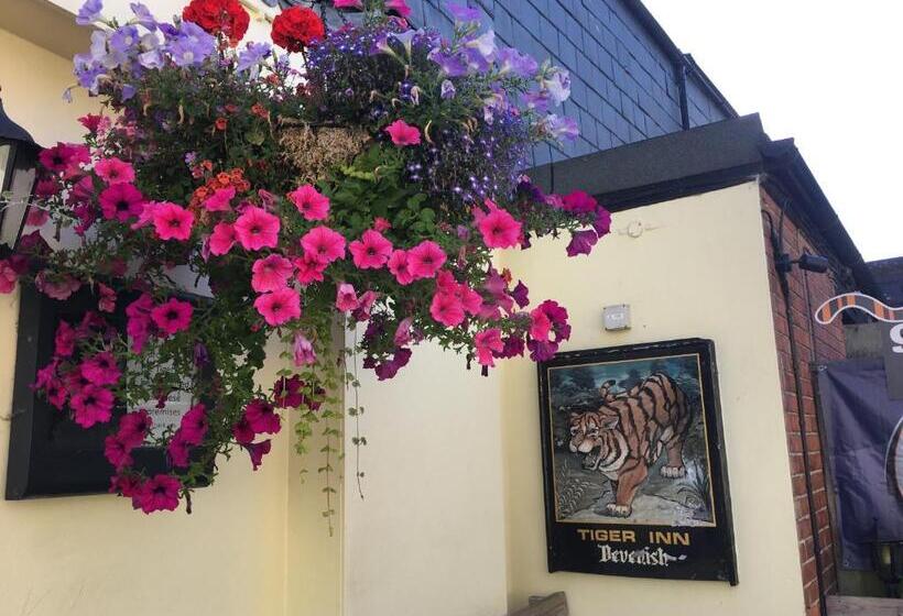 فندق صغير Tiger Inn