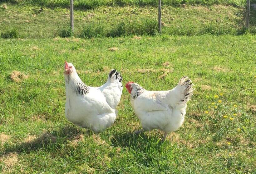 צימר La Ferme Buissonnière