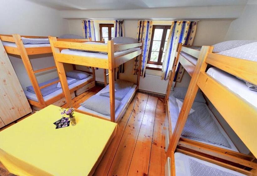 旅馆 Penzion Black Sheeps Adventures