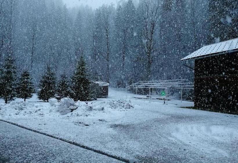 旅馆 Penzion Black Sheeps Adventures