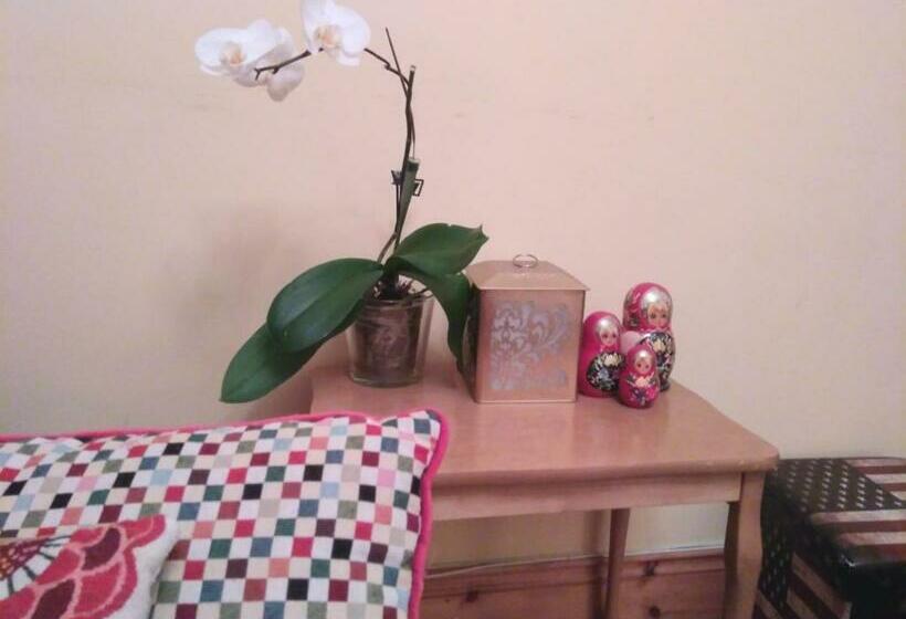 פנסיון Big Bright Room