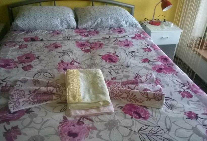 פנסיון Rezidence Jiskra