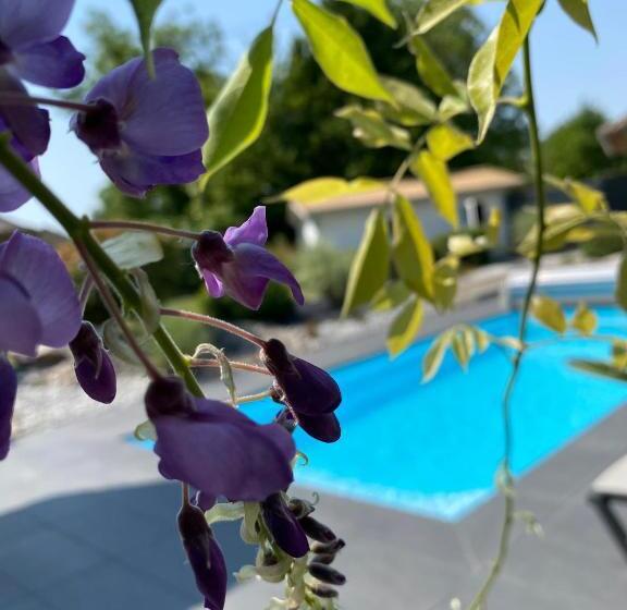 Les Rives Des Habsbourg