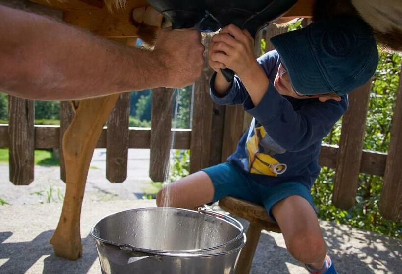 بنسيون Gut Vögeihof