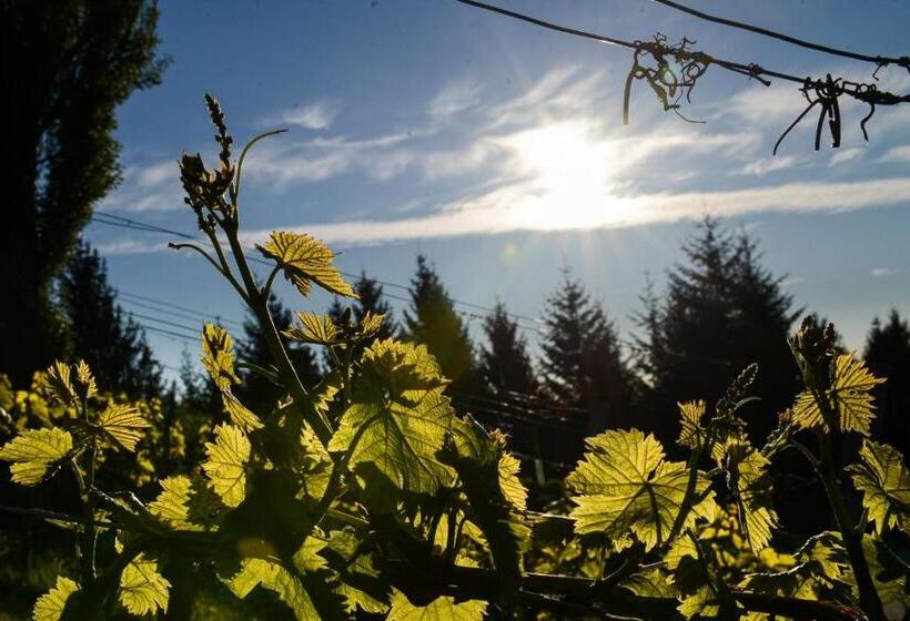 بنسيون Weingut & Buschenschank Pölzl