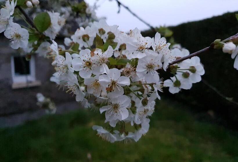 민박 Couloumine Breizh