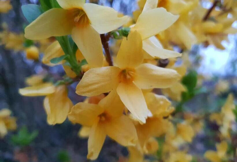 민박 Couloumine Breizh