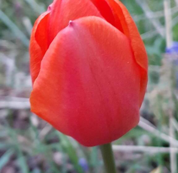 민박 Couloumine Breizh