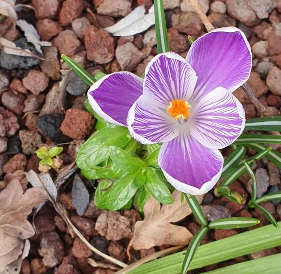 민박 Couloumine Breizh