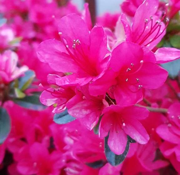 민박 Couloumine Breizh