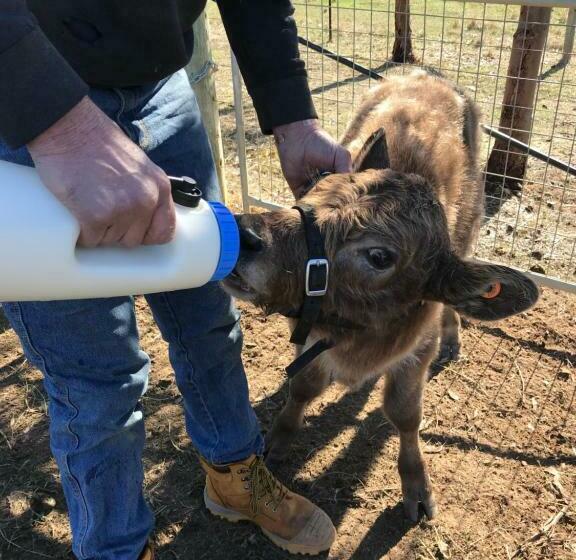 住宿加早餐  Yeoy S Cabin