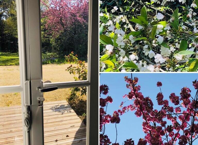 پانسیون Au Rez De Jardin