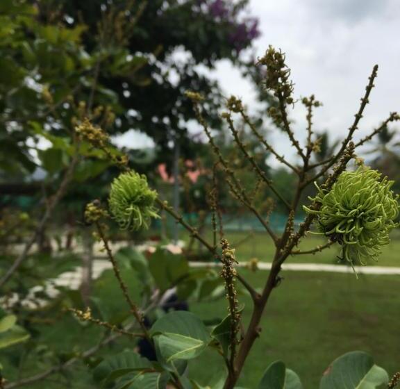 Resort Baanrai Khunya บ้านไร่คุณย่า
