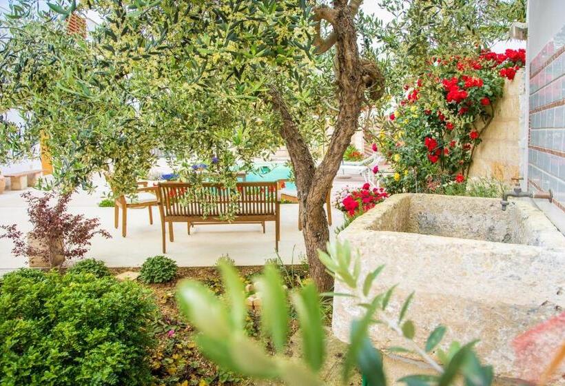 Bed and Breakfast Biancolino