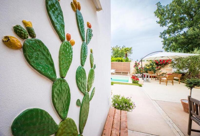 Bed and Breakfast Biancolino