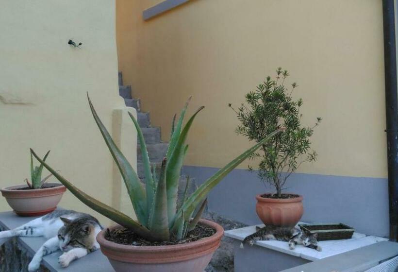 بنسيون La Stanzetta Viola