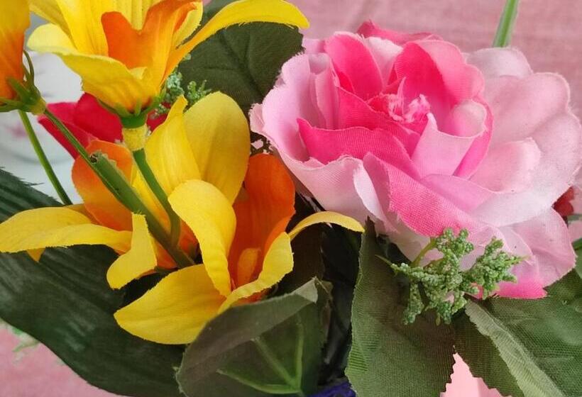 پانسیون Le Due Palme