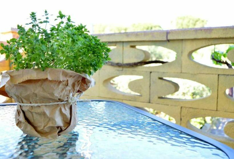 B&b Profumo Di Alloro