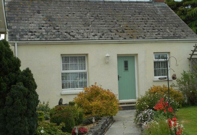 مبيت وإفطار Glascoed Farmhouse