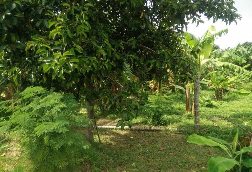 Deva Garden Resort