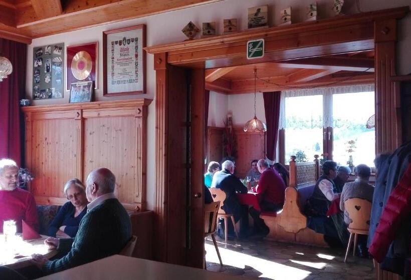 Отель Tieschnhof