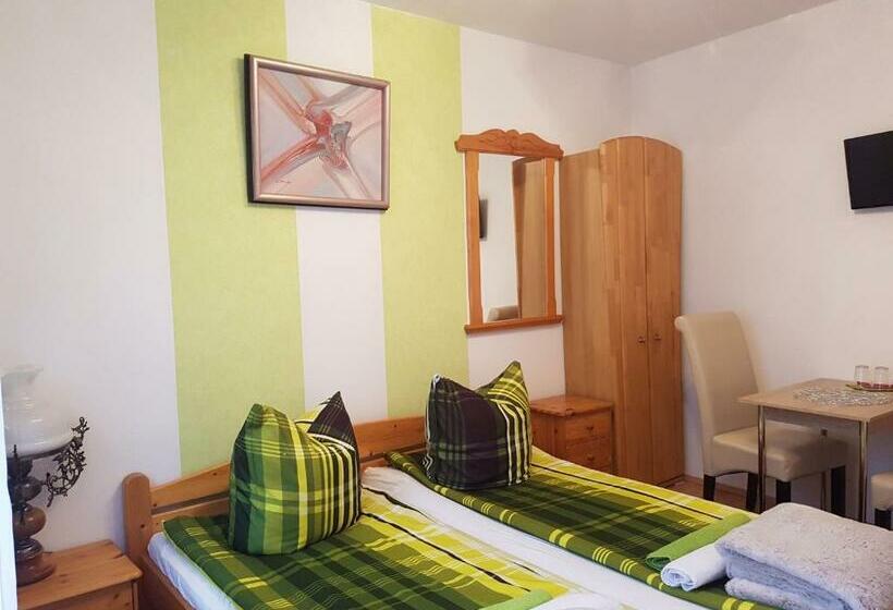 بنسيون Zur Traube