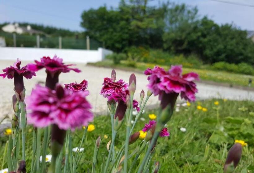 Bed and Breakfast An Charraig Ban On The Wild Atlantic Way F94wt02