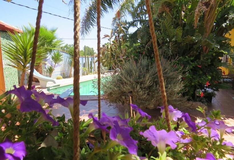 تختخواب و صبحانه Higos Chumbos, Casa Rural Compartido