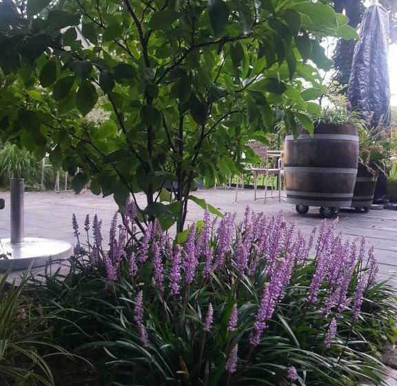 צימר Theetuin Onder De Pannen