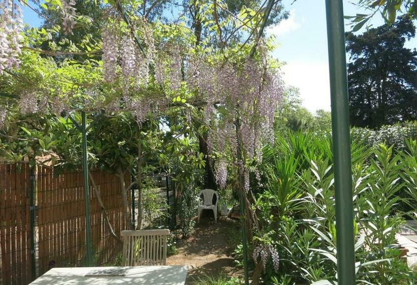 住宿加早餐  Villa Les Lys