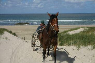 Bed & Breakfast Aan Zee