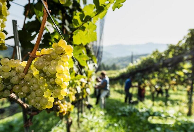 هتل Weingut Wohlfühlzimmer Adam Lieleg