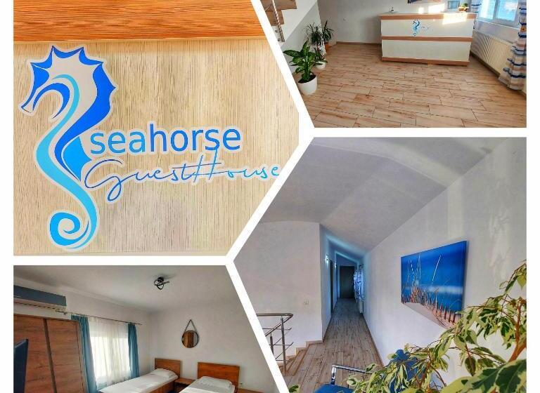 پانسیون Seahorse Guesthouse