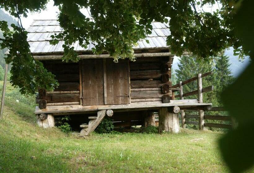 ホテル Biobauernhof Spieszschweiger