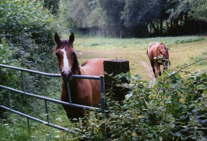 بنسيون Chambre D Hôte Courtoux