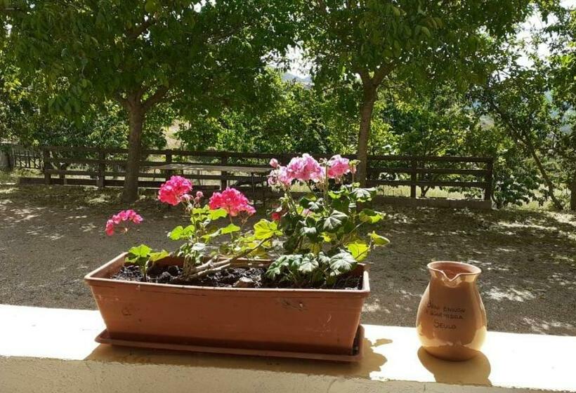 호텔 Agriturismo S Armidda