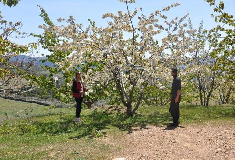호텔 Agriturismo S Armidda