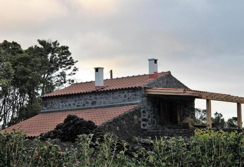 Pansiyon Pico Formoso Vínea Lava Alojamentos Pico