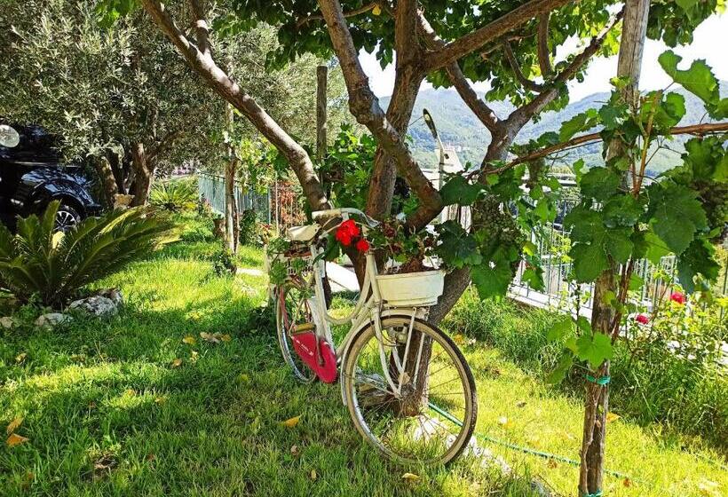 تختخواب و صبحانه La Roccia Incantata Amalfi Coast