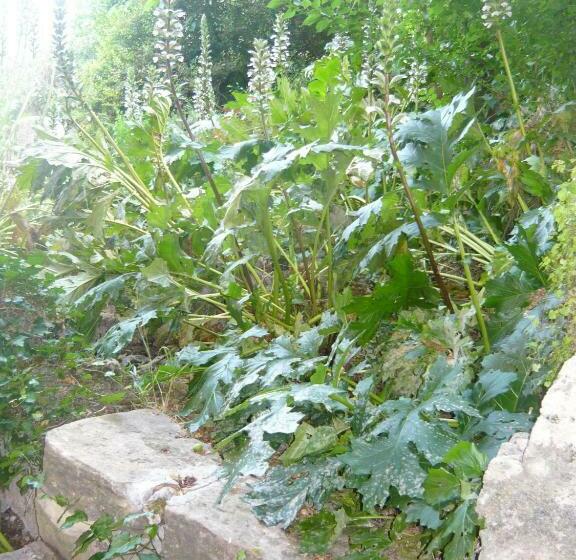 צימר Le Pra De Pé